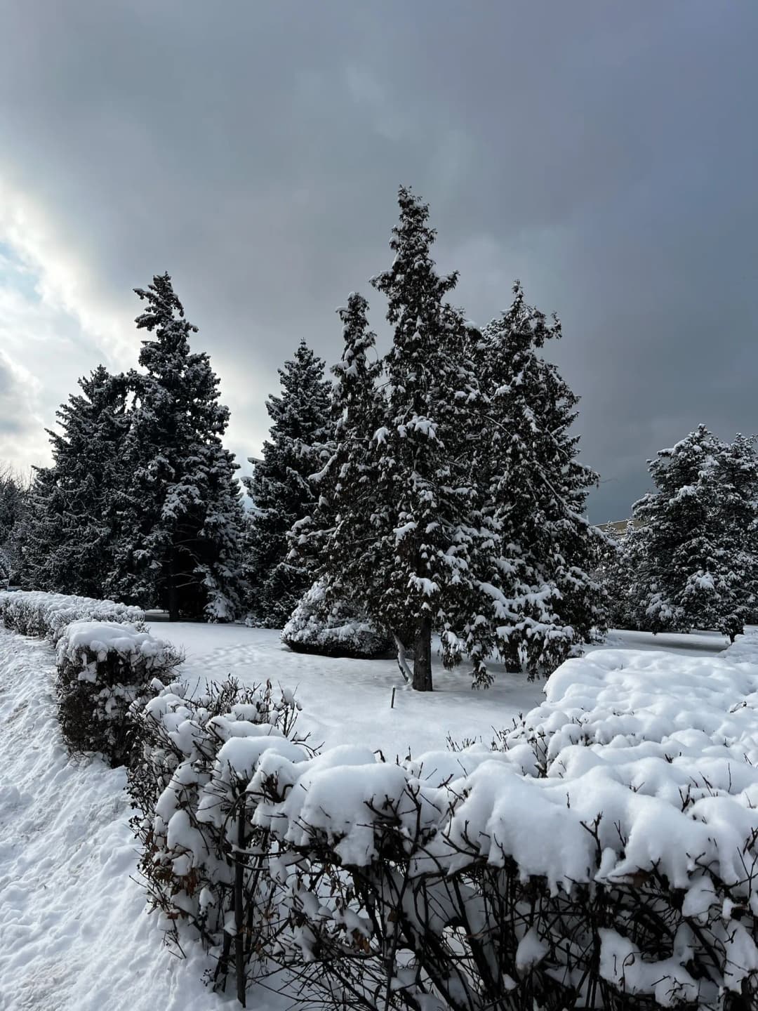 Almaty(Kazakhstan) moment