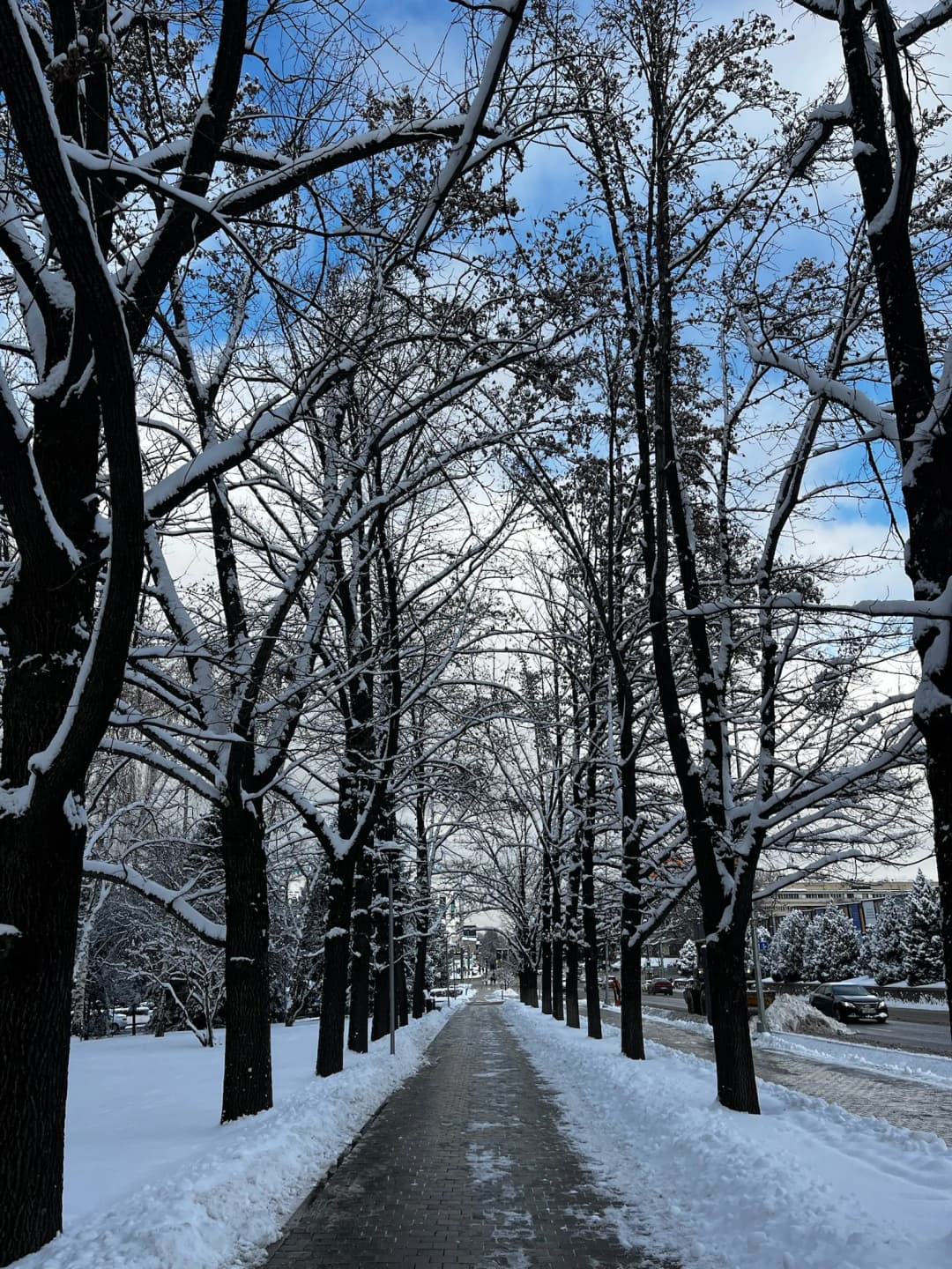 Almaty(Kazakhstan) moment