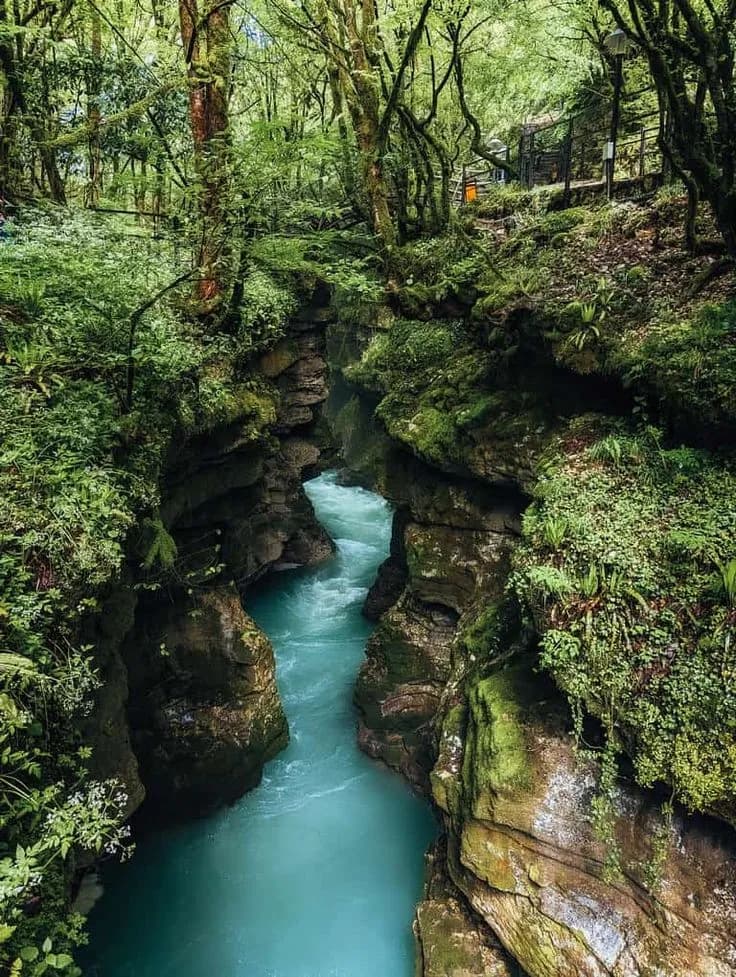 Georgia Food Wine Culture