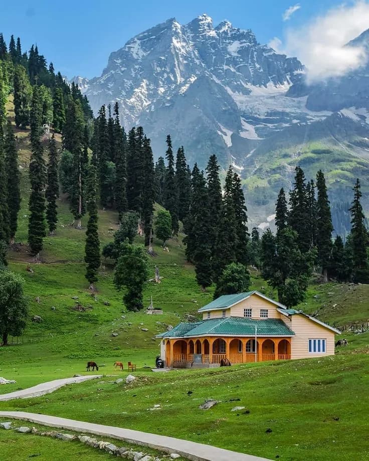 Kashmir moment