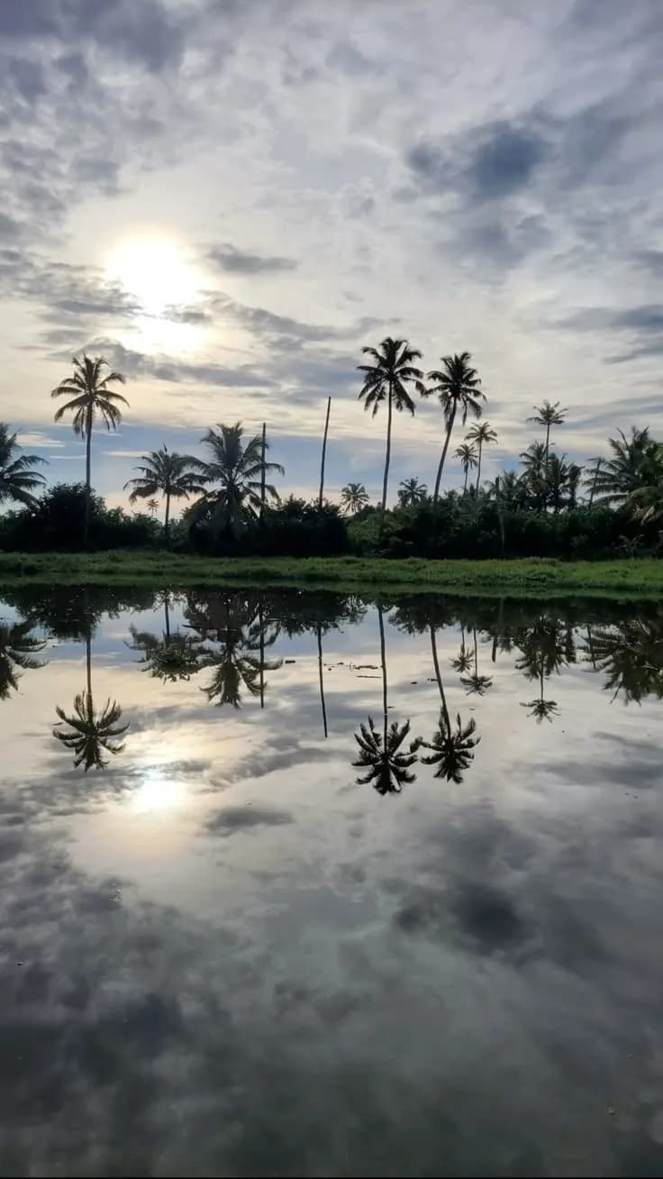 Kerala moment