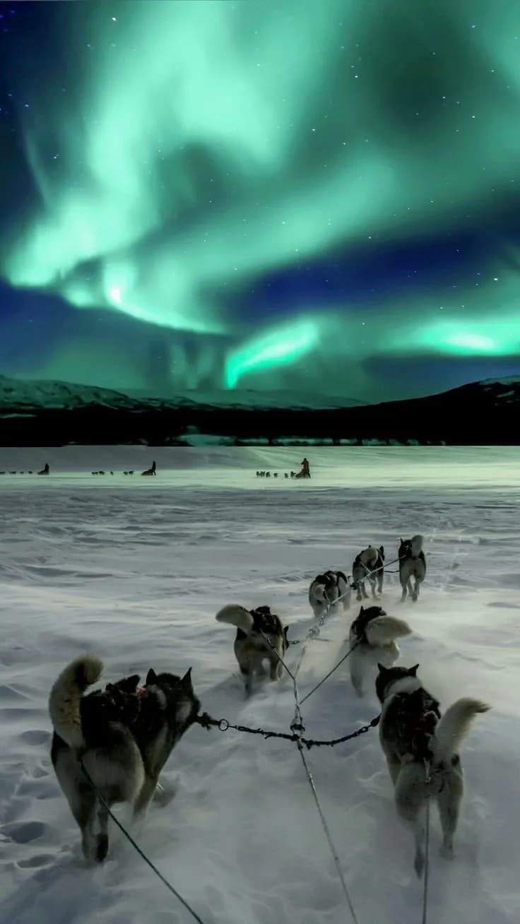 Northern Lights moment
