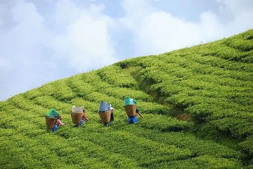 Sikkim moment