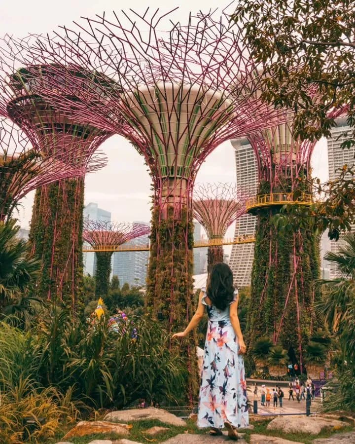 Singapore Green Local Trail