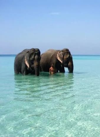 Andaman moment