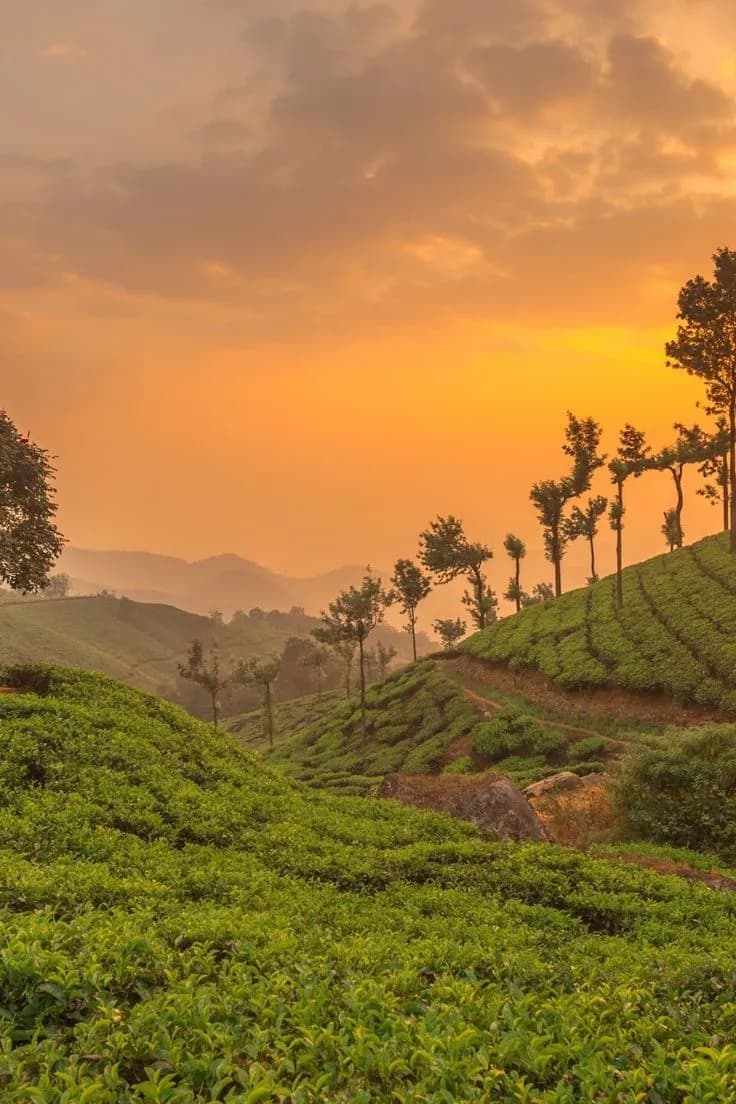 Kerala moment
