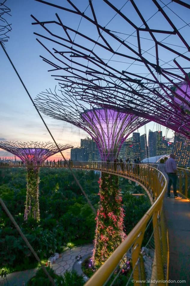 Singapore moment