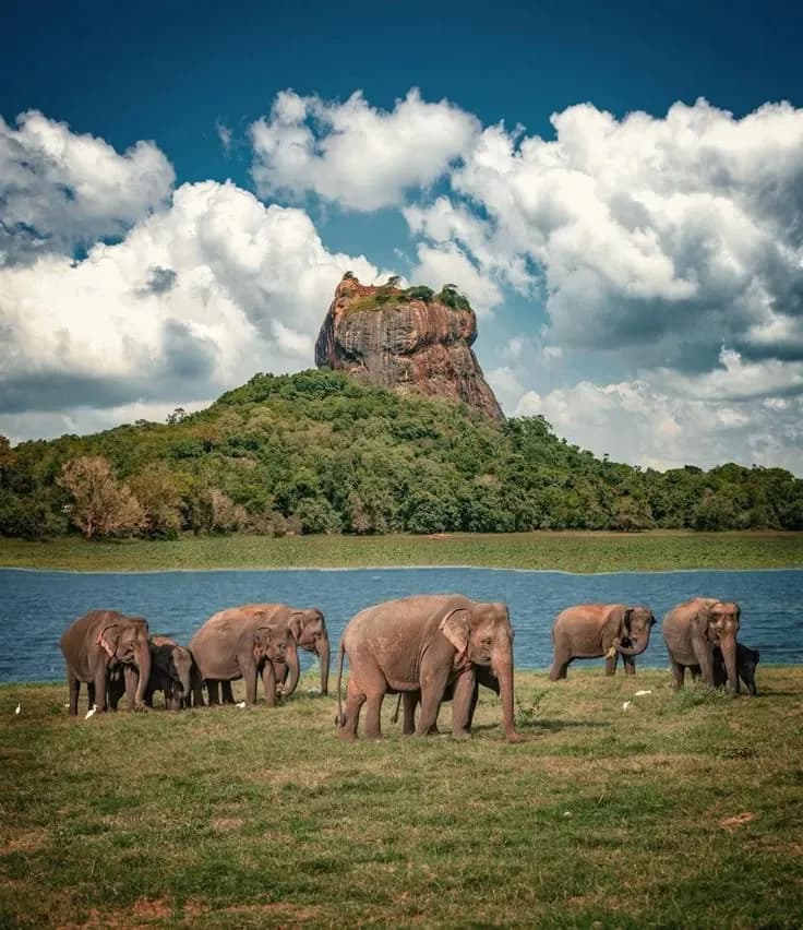 Sri Lanka moment