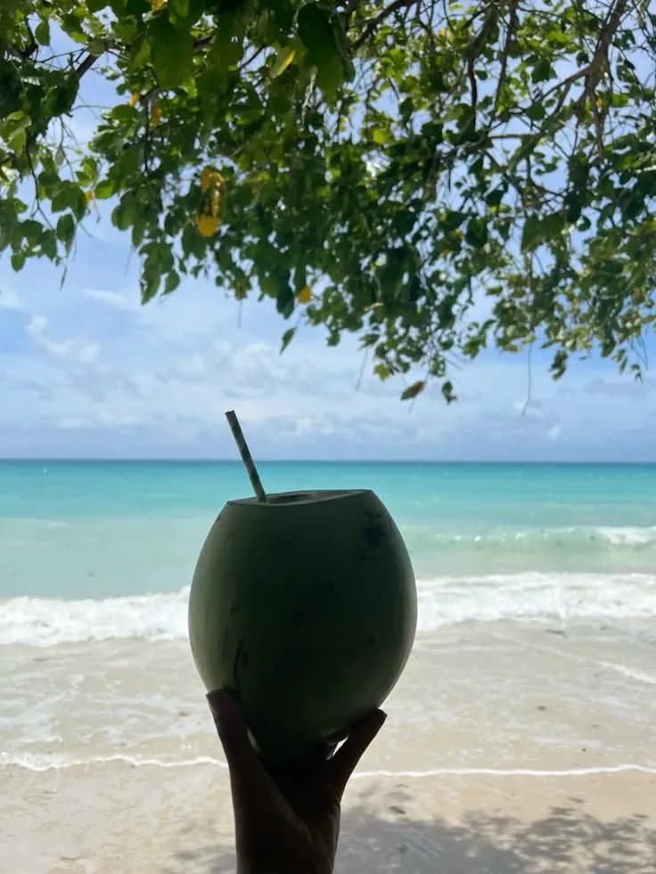 Andaman moment