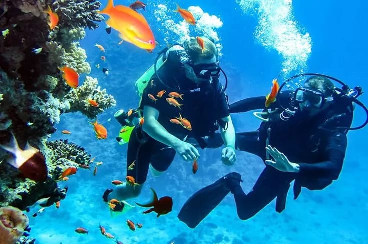 Andaman moment